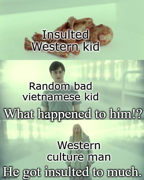 Insulter kid | Insulted Western kid; Random bad vietnamese kid; What happened to him!? Western culture man; He got insulted to much. | image tagged in dead baby voldemort / what happened to him | made w/ Imgflip meme maker