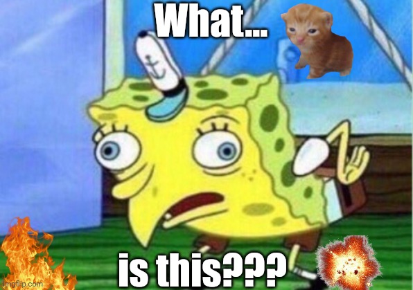 What? | What... is this??? | image tagged in memes,mocking spongebob | made w/ Imgflip meme maker