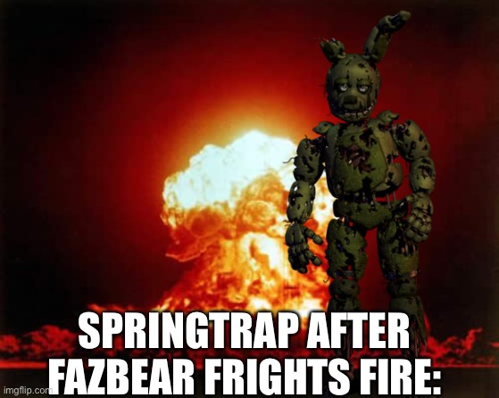 After fnaf 3: | SPRINGTRAP AFTER FAZBEAR FRIGHTS FIRE: | image tagged in springtrap,fire | made w/ Imgflip meme maker