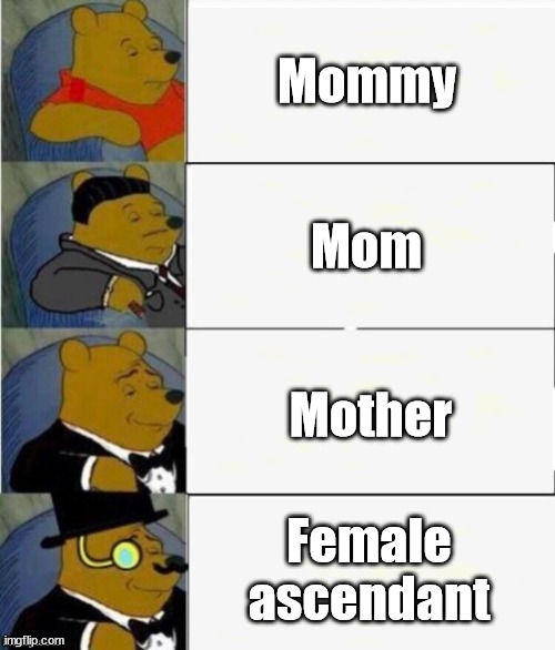 Mom's variations | Mommy; Mom; Mother; Female ascendant | image tagged in tuxedo winnie the pooh 4 panel | made w/ Imgflip meme maker