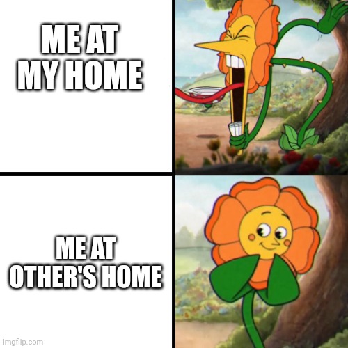 Me | ME AT MY HOME; ME AT OTHER'S HOME | image tagged in cuphead flower | made w/ Imgflip meme maker