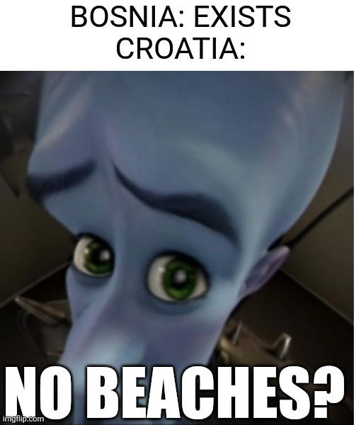 No beaches? | BOSNIA: EXISTS
CROATIA:; NO BEACHES? | image tagged in geography,croatia,bosnia,memes,funny | made w/ Imgflip meme maker