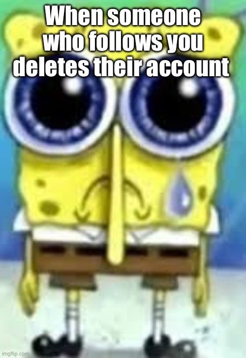 Or they just plain unfollow you for some reason | When someone who follows you deletes their account | image tagged in sad spangle shglob | made w/ Imgflip meme maker