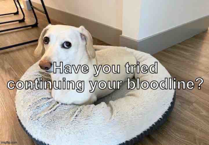 I just created a Homophobic Dog DX edition | image tagged in cry about it | made w/ Imgflip meme maker