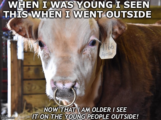 Young nose ring | WHEN I WAS YOUNG I SEEN THIS WHEN I WENT OUTSIDE; NOW THAT I AM OLDER I SEE IT ON THE YOUNG PEOPLE OUTSIDE! | image tagged in lol,funny but true,funny stuff | made w/ Imgflip meme maker