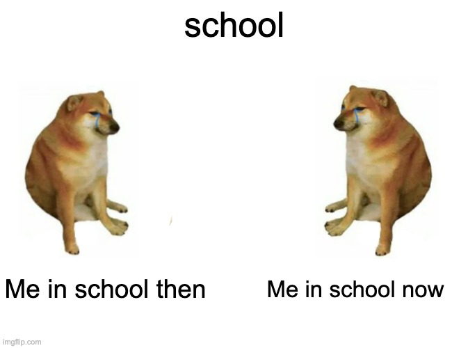 Me in School :( | school; Me in school then; Me in school now | image tagged in memes,buff doge vs cheems,school,funny memes,funny,fun | made w/ Imgflip meme maker