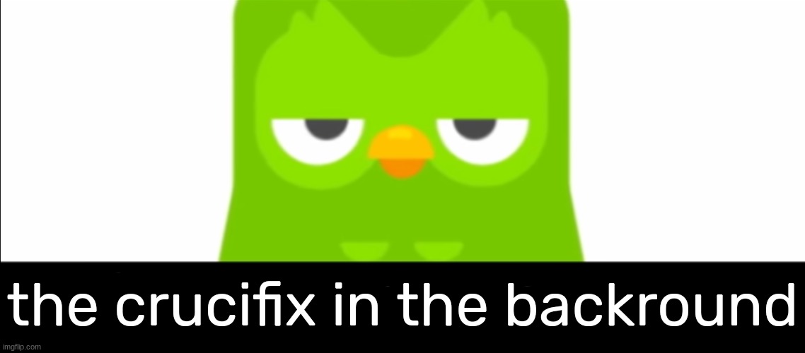 Duolingo was unimpressed | the crucifix in the backround | image tagged in duolingo was unimpressed | made w/ Imgflip meme maker