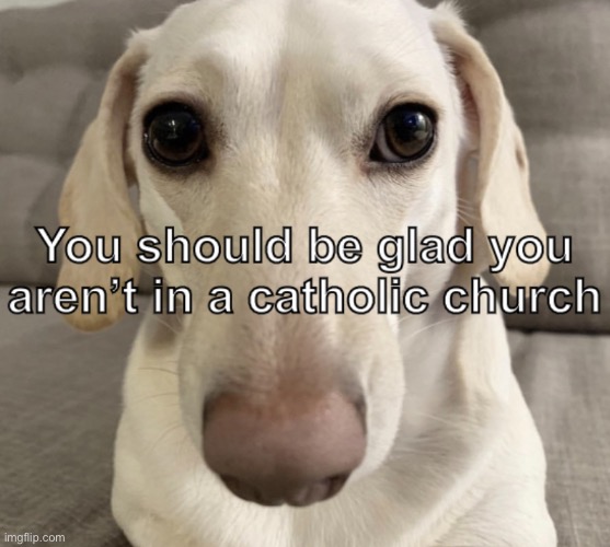 How to bait snowflakes 101 | image tagged in cry about it | made w/ Imgflip meme maker