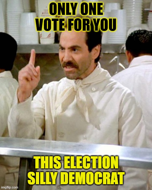 One vote | ONLY ONE VOTE FOR YOU; THIS ELECTION
SILLY DEMOCRAT | image tagged in soup nazi,silly democrat,only one vote | made w/ Imgflip meme maker