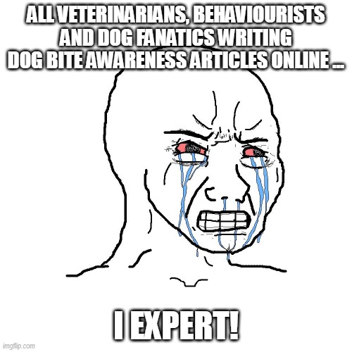 DoG wIlL nOT bIT U iF U KinD | ALL VETERINARIANS, BEHAVIOURISTS AND DOG FANATICS WRITING DOG BITE AWARENESS ARTICLES ONLINE ... I EXPERT! | image tagged in dogs,does your dog bite,pitbull,pitbulls,veterinarian | made w/ Imgflip meme maker