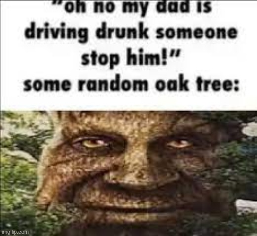 tree: lightskin stare | made w/ Imgflip meme maker