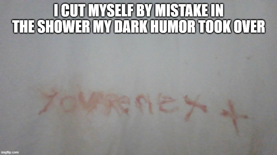 I actually did this for fun it was funny | I CUT MYSELF BY MISTAKE IN THE SHOWER MY DARK HUMOR TOOK OVER | image tagged in youre next written in blood | made w/ Imgflip meme maker