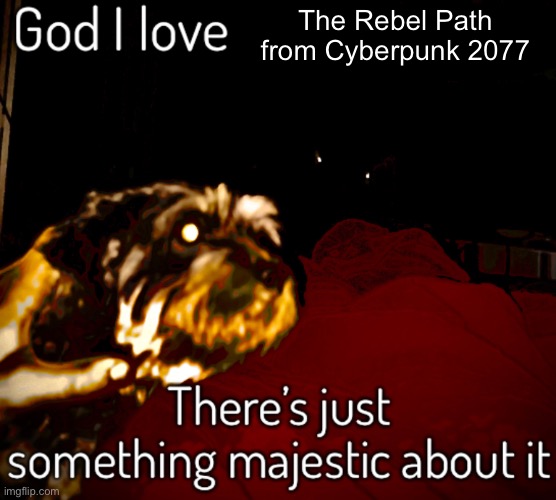 Nothing more, later chat | The Rebel Path from Cyberpunk 2077 | image tagged in balls | made w/ Imgflip meme maker