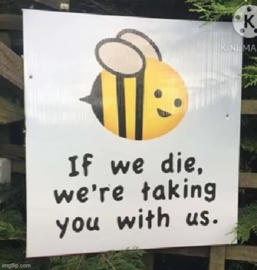 the bees are done. | image tagged in dark humor | made w/ Imgflip meme maker