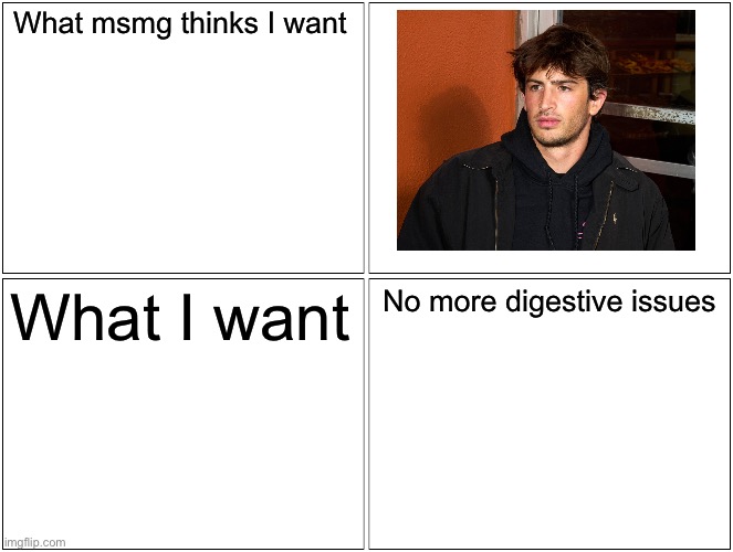 Blank Comic Panel 2x2 | What msmg thinks I want; What I want; No more digestive issues | image tagged in memes,blank comic panel 2x2 | made w/ Imgflip meme maker