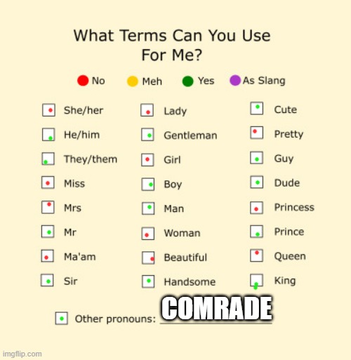 Pronouns Sheet | COMRADE | image tagged in pronouns sheet | made w/ Imgflip meme maker