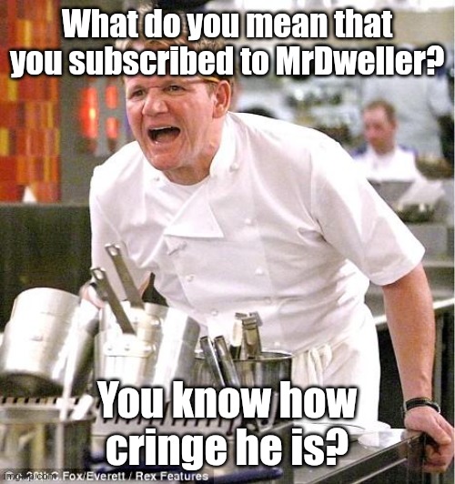 Just don't do it please | What do you mean that you subscribed to MrDweller? You know how cringe he is? | image tagged in memes,chef gordon ramsay,funny,mrdweller | made w/ Imgflip meme maker