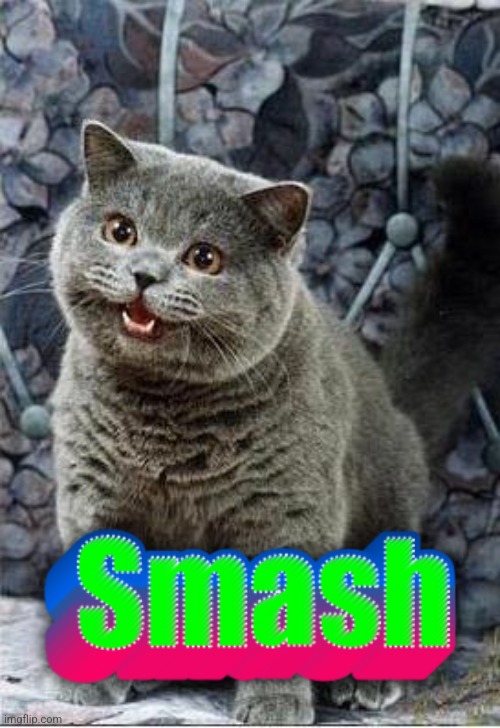 High Quality Cat Smash Blank Meme Template