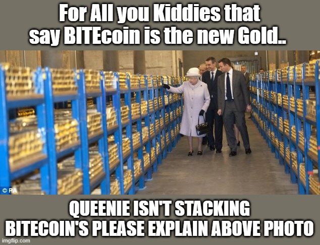 For All you Kiddies that say BITEcoin is the new Gold.. QUEENIE ISN'T STACKING BITECOIN'S PLEASE EXPLAIN ABOVE PHOTO | made w/ Imgflip meme maker