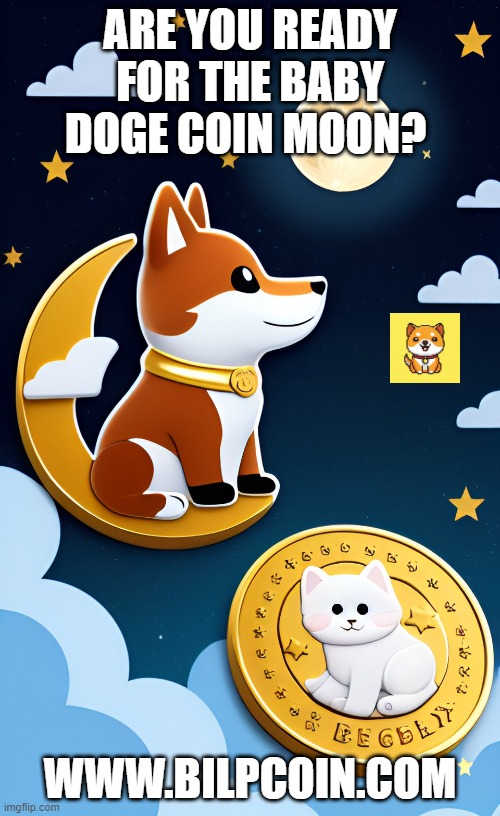 ARE YOU READY FOR THE BABY DOGE COIN MOON? WWW.BILPCOIN.COM | made w/ Imgflip meme maker