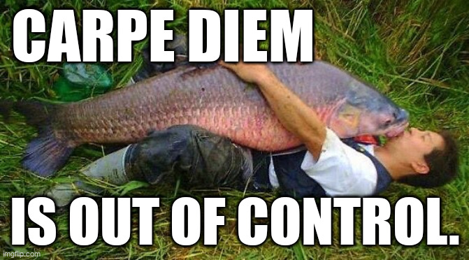 Carpe Diem | CARPE DIEM; IS OUT OF CONTROL. | image tagged in carp,control,fun | made w/ Imgflip meme maker