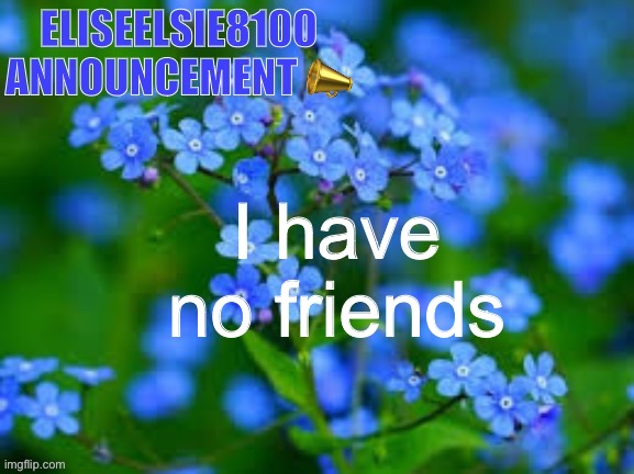 EliseElsie8100 Announcement | I have no friends | image tagged in eliseelsie8100 announcement | made w/ Imgflip meme maker