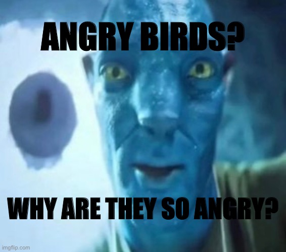 Avatar guy | ANGRY BIRDS? WHY ARE THEY SO ANGRY? | image tagged in avatar guy | made w/ Imgflip meme maker