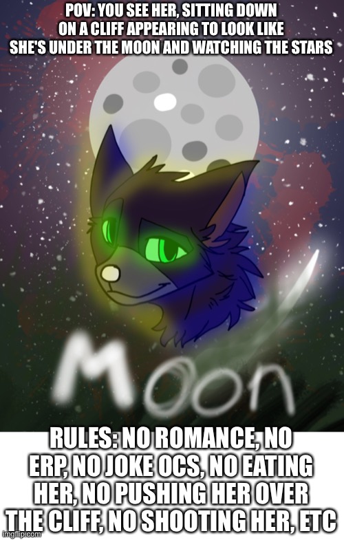 Oc is Moon | POV: YOU SEE HER, SITTING DOWN ON A CLIFF APPEARING TO LOOK LIKE SHE'S UNDER THE MOON AND WATCHING THE STARS; RULES: NO ROMANCE, NO ERP, NO JOKE OCS, NO EATING HER, NO PUSHING HER OVER THE CLIFF, NO SHOOTING HER, ETC | image tagged in moon | made w/ Imgflip meme maker