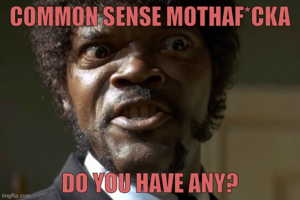 I ask this question far too much. | COMMON SENSE MOTHAF*CKA; DO YOU HAVE ANY? | image tagged in sam jackson | made w/ Imgflip meme maker