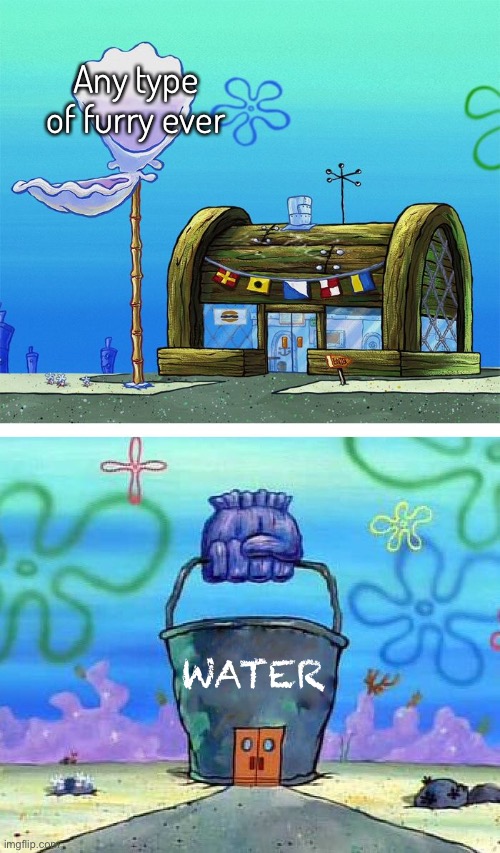 Not meant to offend furries this time | Any type of furry ever; WATER | image tagged in memes,krusty krab vs chum bucket blank | made w/ Imgflip meme maker