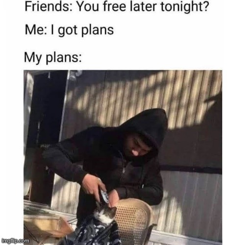 so busy | image tagged in making plans,repost,memes,cats | made w/ Imgflip meme maker