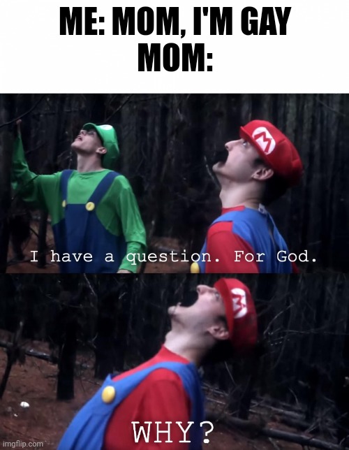 WHY?!? | ME: MOM, I'M GAY
MOM: | image tagged in i have a question for god,gay,mom,lgbtq | made w/ Imgflip meme maker