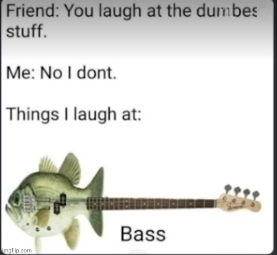 Is it bass (Base) or bass (b-ass)? | image tagged in corny,bass,jankylanky,discord memes,funny,funny memes | made w/ Imgflip meme maker