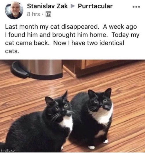 image tagged in wholesome | made w/ Imgflip meme maker