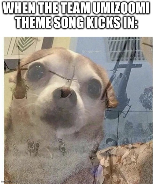 PTSD Chihuahua | WHEN THE TEAM UMIZOOMI THEME SONG KICKS IN: | image tagged in ptsd chihuahua | made w/ Imgflip meme maker