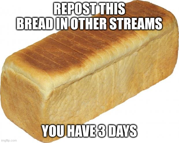 bread.BrEad BReAd bReAd | REPOST THIS BREAD IN OTHER STREAMS; YOU HAVE 3 DAYS | image tagged in breadddd | made w/ Imgflip meme maker