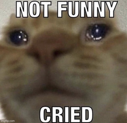 Not Funny. Cried. | image tagged in not funny cried | made w/ Imgflip meme maker
