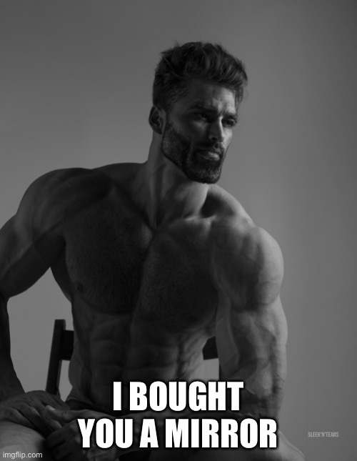 Giga Chad | I BOUGHT YOU A MIRROR | image tagged in giga chad | made w/ Imgflip meme maker