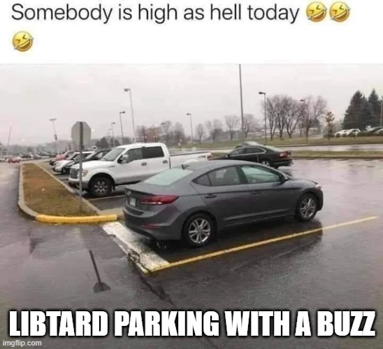 Libtard Parking With A Buzz | LIBTARD PARKING WITH A BUZZ | image tagged in libtard parking with a buzz | made w/ Imgflip meme maker