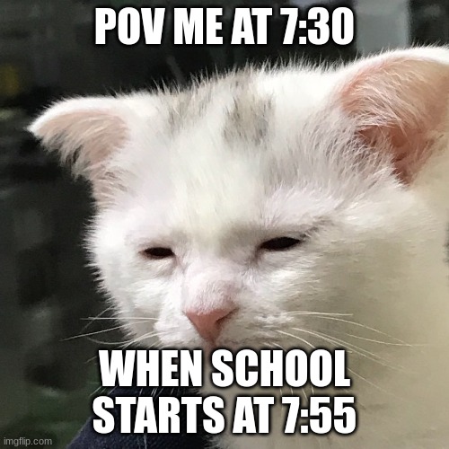 I'm awake, but at what cost? | POV ME AT 7:30; WHEN SCHOOL STARTS AT 7:55 | image tagged in i'm awake but at what cost | made w/ Imgflip meme maker
