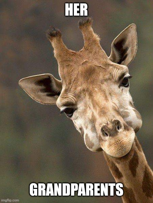 Giraffe  | HER GRANDPARENTS | image tagged in giraffe | made w/ Imgflip meme maker