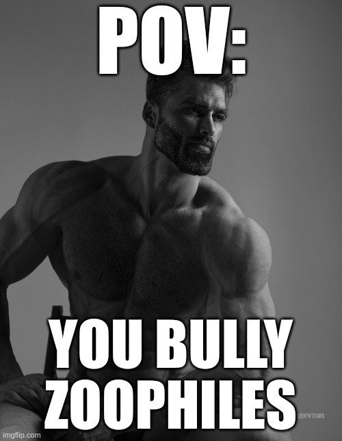 Giga Chad | POV: YOU BULLY ZOOPHILES | image tagged in giga chad | made w/ Imgflip meme maker