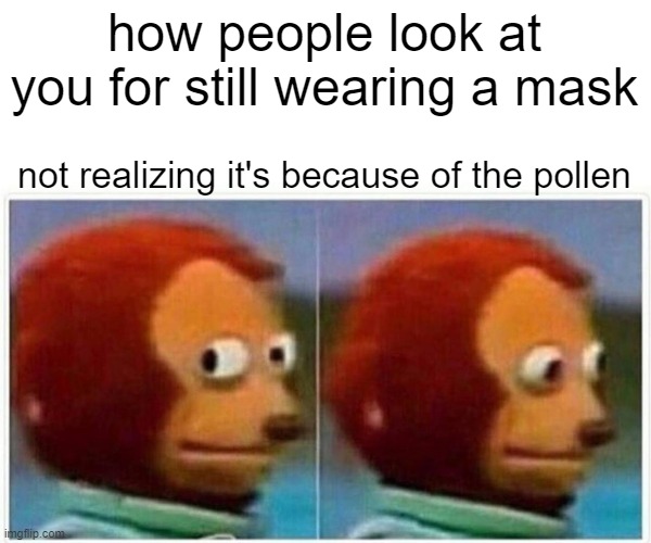 Monkey Puppet Meme | how people look at you for still wearing a mask not realizing it's because of the pollen | image tagged in memes,monkey puppet | made w/ Imgflip meme maker