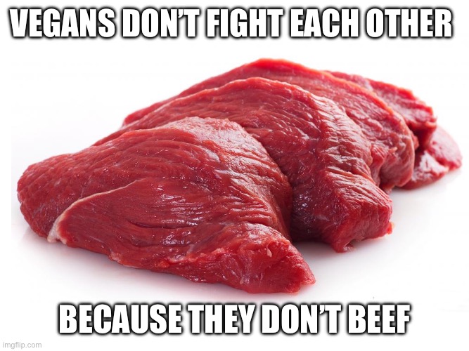 Vegans meat beef | VEGANS DON’T FIGHT EACH OTHER; BECAUSE THEY DON’T BEEF | image tagged in vegans,beef,fight,vegetarian,cow,animals | made w/ Imgflip meme maker