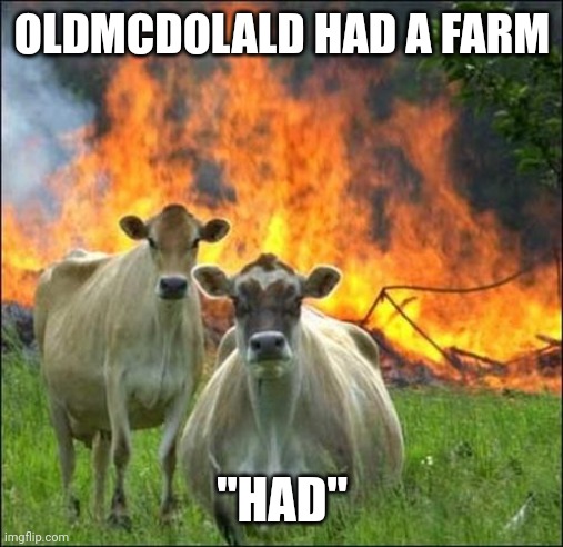 Evil Cows | OLDMCDOLALD HAD A FARM; "HAD" | image tagged in memes,evil cows | made w/ Imgflip meme maker