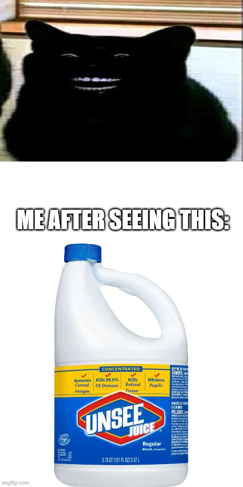 unsee juice | ME AFTER SEEING THIS: | image tagged in unsee juice | made w/ Imgflip meme maker
