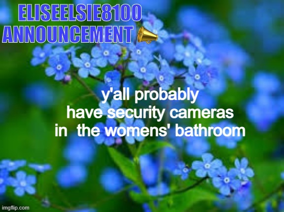 EliseElsie8100 Announcement | y'all probably have security cameras in  the womens' bathroom | image tagged in eliseelsie8100 announcement | made w/ Imgflip meme maker