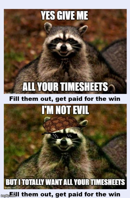 Give Me Timesheets | image tagged in evil plotting raccoon,timesheet reminder,timesheet meme | made w/ Imgflip meme maker