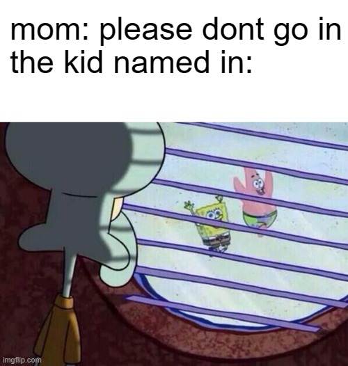 bruh | mom: please dont go in
the kid named in: | image tagged in squidward window | made w/ Imgflip meme maker