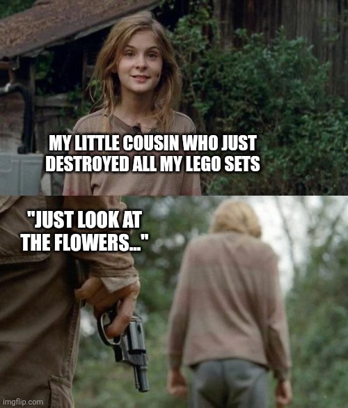 You stay out of my room | MY LITTLE COUSIN WHO JUST DESTROYED ALL MY LEGO SETS; "JUST LOOK AT THE FLOWERS..." | image tagged in walking dead lizzie,the walking dead,look at this photograph,lego star wars,cousin | made w/ Imgflip meme maker
